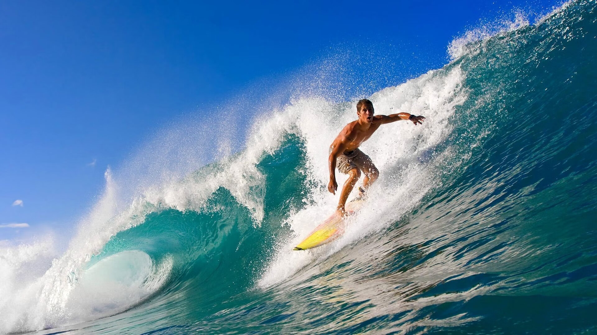 世界杯主办方对交通安排列出详细指南,2021年世界杯主办方